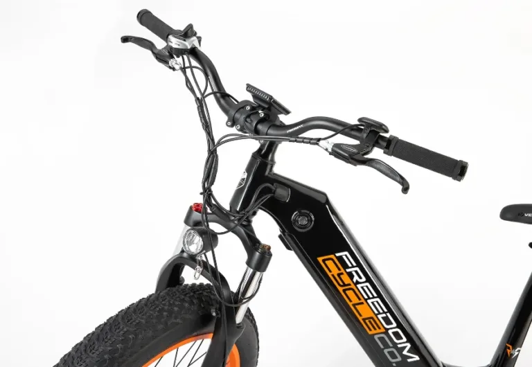 ebike-3